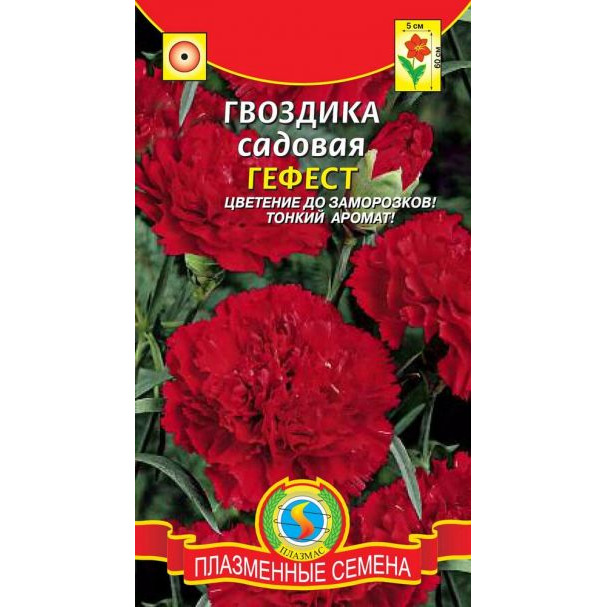 Семена Гвоздика Гефест ц.п. 0,1гр