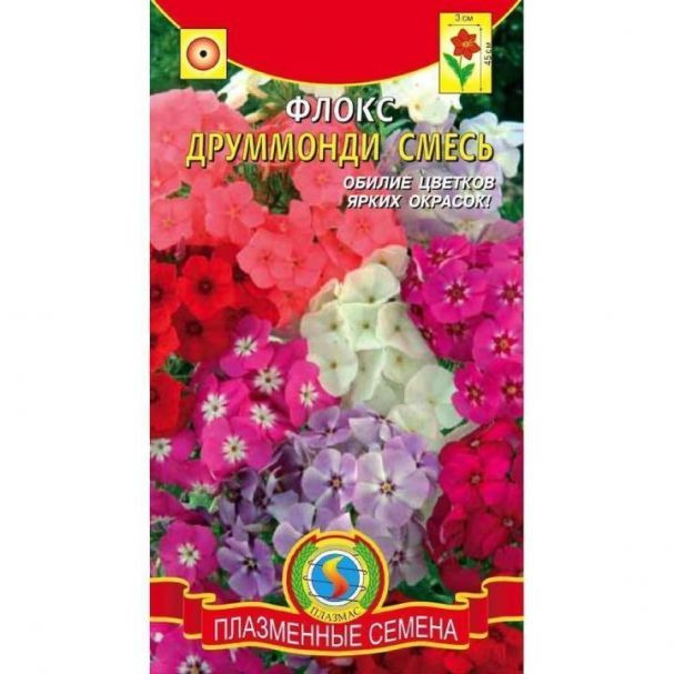 Семена Флокс Друммонди смесь ц.п. 0,2 гр
