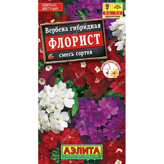 Семена Вербена Флорист 0,1гр ЦП