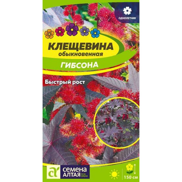 Семена Клещевина Гибсона 3шт купить в Москве по низкой цене - интернет ...