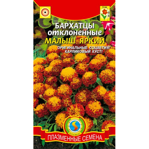 Семена Бархатцы Малыш Яркий ц.п. 30 шт
