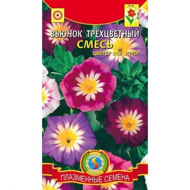 Семена Вьюнок Трехцветный смесь ц.п. 0,5 гр купить в Москве по низкой ...