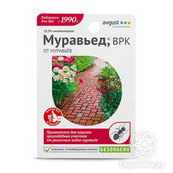 Муравьед