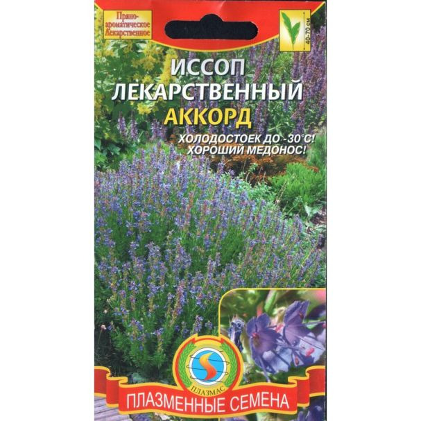 Семена Иссоп лекарственный Аккорд 0,3гр ЦП купить в Москве по низкой ...