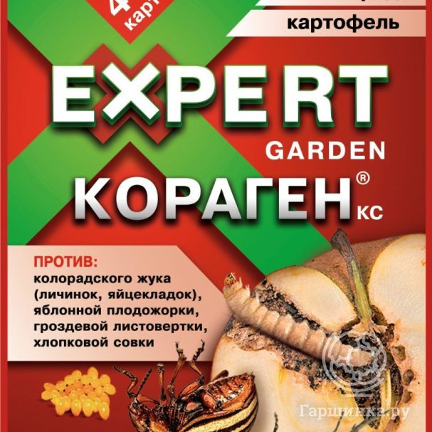 КОРАГЕН, КС купить в Москве по низкой цене - интернет-магазин Гаршинка