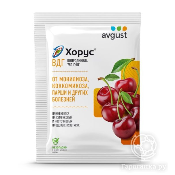 Хорус 2 гр. Август