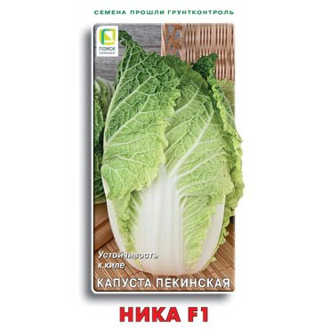 Семена Капуста пекинская Ника F1 0,1, Поиск