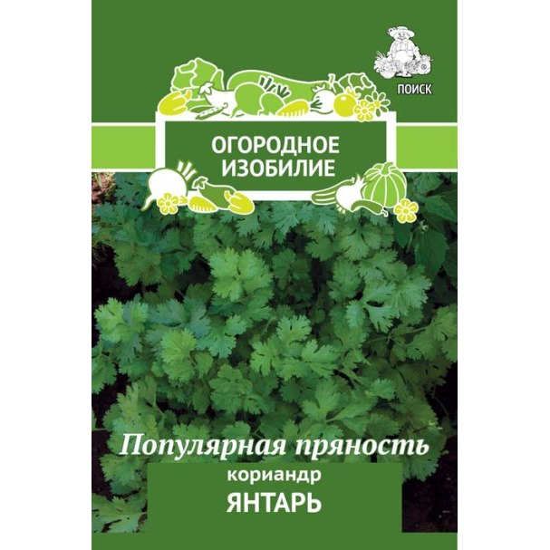 Семена Кориандр Янтарь 3, Поиск