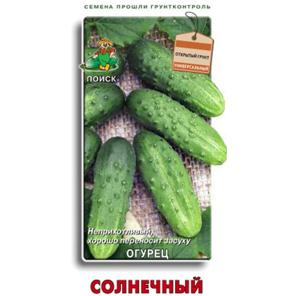 Семена Огурец Солнечный 15, Поиск