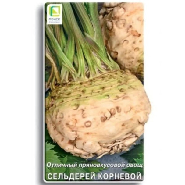 Семена Сельдерей корневой Корневой Грибовский 0,5, Поиск купить в ...