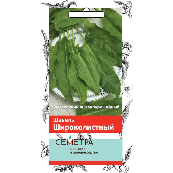 Семена Щавель Широколистный 1, Поиск купить в Москве по низкой цене ...