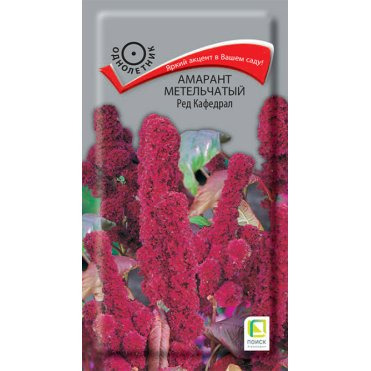 Семена Амарант метельчатый Ред Кафедрал 0,1, Поиск
