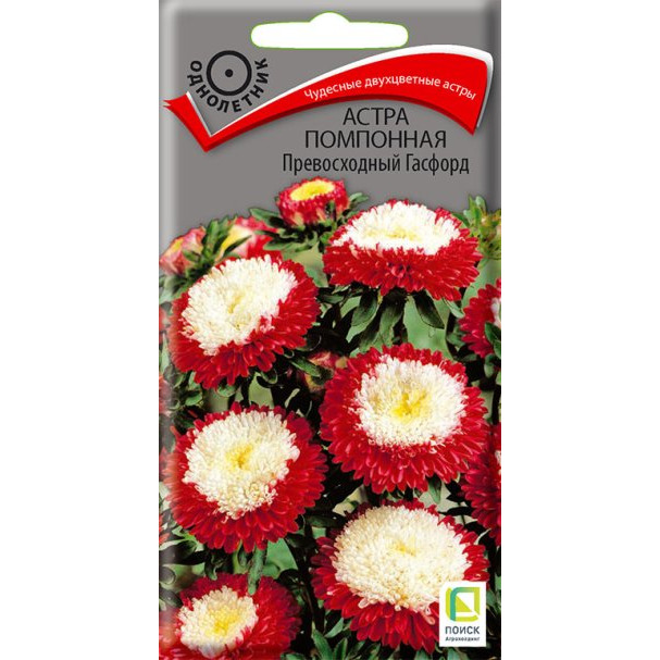 Семена Астра помпонная Превосходный Гасфорд 0,3, Поиск