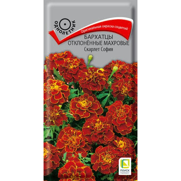 Семена Бархатцы отклоненные махровые Скарлет София 0,4, Поиск