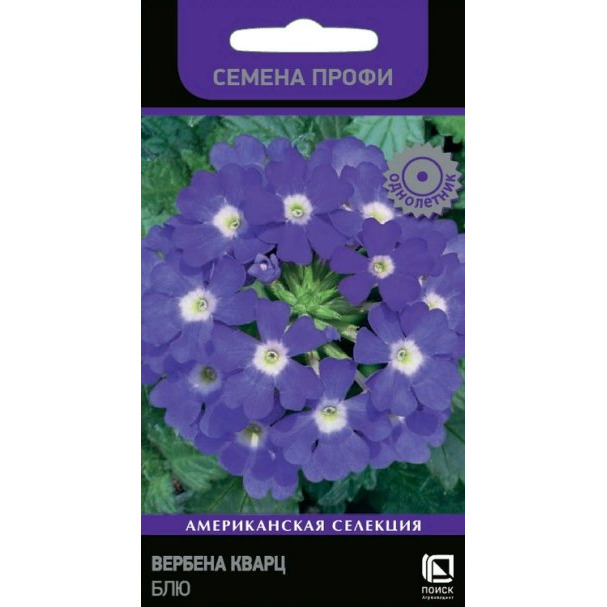 Семена Вербена Кварц Блю 10, Поиск