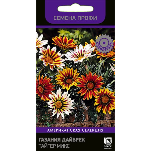 Семена Газания Дайбрек Тайгер Микс 10, Поиск