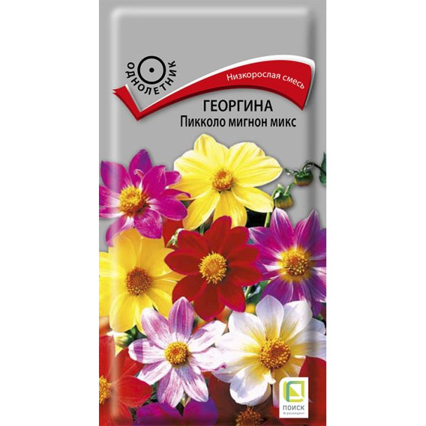 Семена Георгина Пикколо мигнон микс 0,3, Поиск