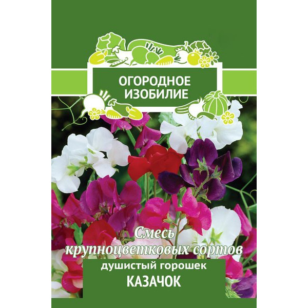 Семена Душистый горошек Казачок 2, Поиск купить в Москве по низкой цене ...