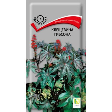 Семена Клещевина Гибсона . 2, Поиск