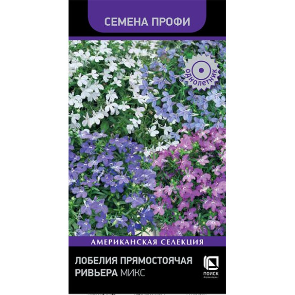 Семена Лобелия прямостоячая Ривьера Микс 10, Поиск