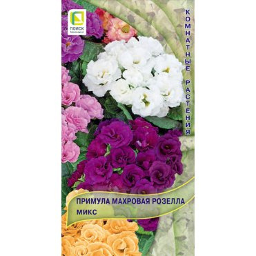 Семена Примула махровая Розелла Микс 5, Поиск