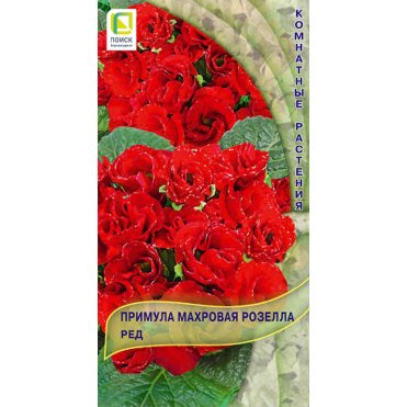 Семена Примула махровая Розелла Ред 5, Поиск