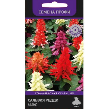 Семена Сальвия Редди Микс 10, Поиск