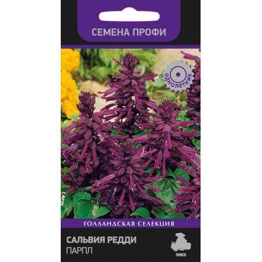 Семена Сальвия Редди Парпл 10, Поиск