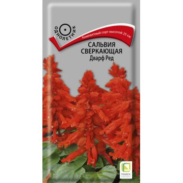 Семена Сальвия сверкающая Дварф ред 0,1, Поиск