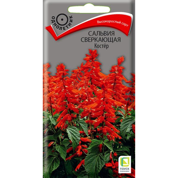 Семена Сальвия сверкающая Костер 0,1, Поиск