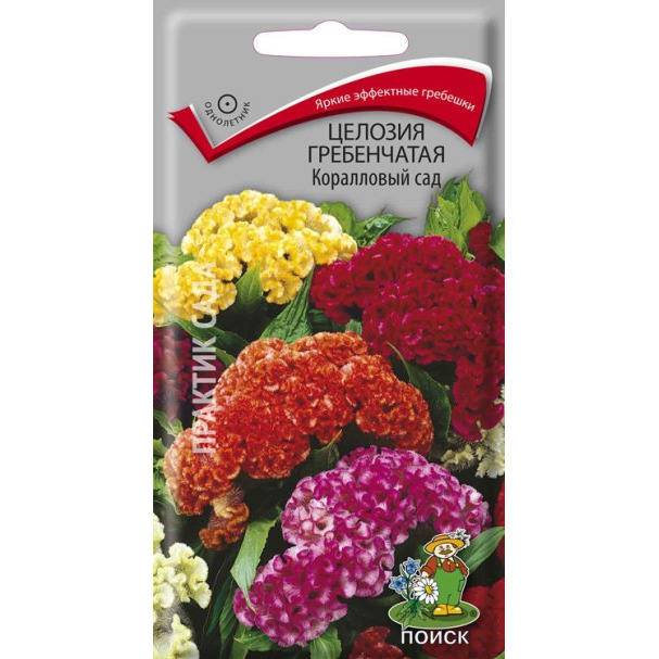 Семена Целозия гребенчатая Коралловый сад 0,1, Поиск купить в Москве по ...