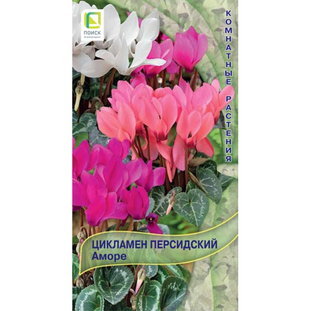 Семена Цикламен персидский Аморе 2, Поиск