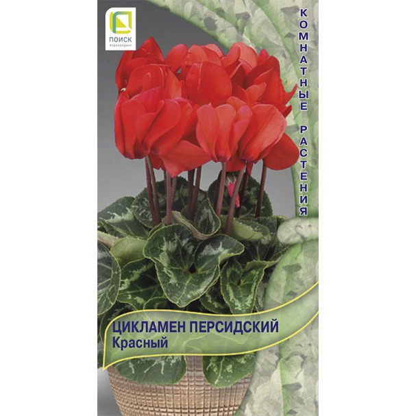 Семена Цикламен персидский Красный 2, Поиск купить в Москве по низкой ...