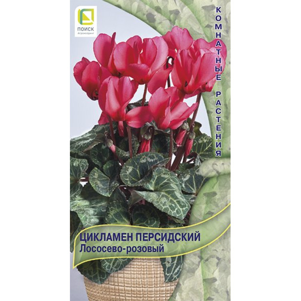Семена Цикламен персидский Лососево-розовый 2, Поиск