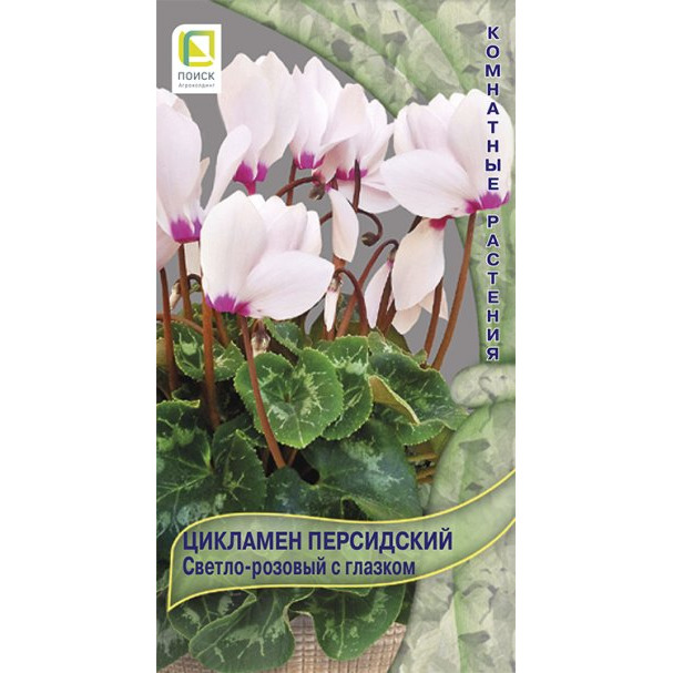 Семена Цикламен персидский Светло-розовый с глазком 2, Поиск