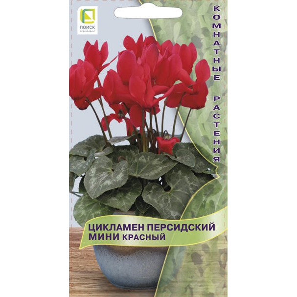 Семена Цикламен персидский мини Красный 2, Поиск купить в Москве по ...