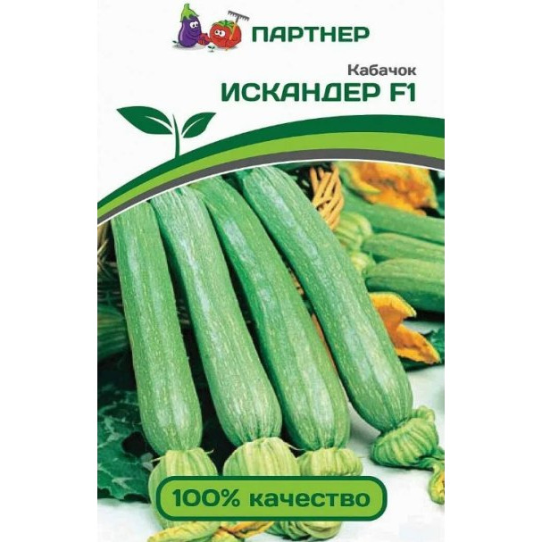 Семена Кабачок Искандер 5. Партнер