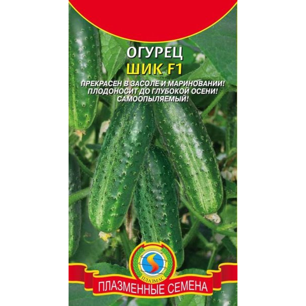 Семена Огурец Шик F1, 10 шт, Плазменные семена