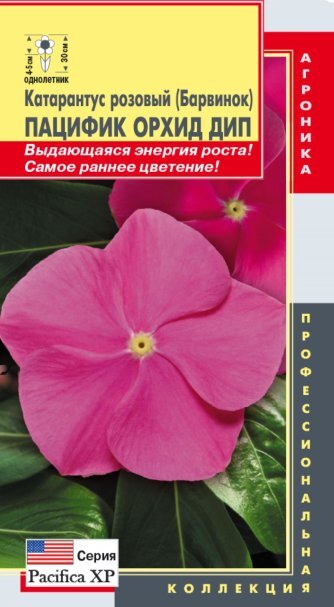 Купить Семена Катарантус розовый (Барвинок) Пацифик Орхид Дип, 8 шт ...