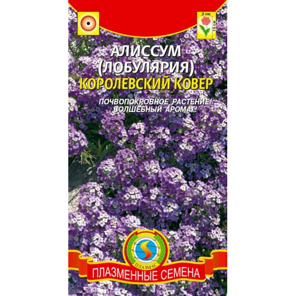 Семена Алиссум (Лобулярия) Королевский ковер, 0,1гр, Плазменные семена ...