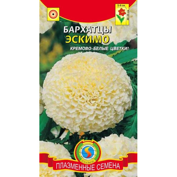 Семена Бархатцы Эскимо, 10 шт, Плазменные семена купить в Москве по ...