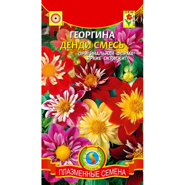 Семена Георгина Денди, 13 шт, Плазменные семена