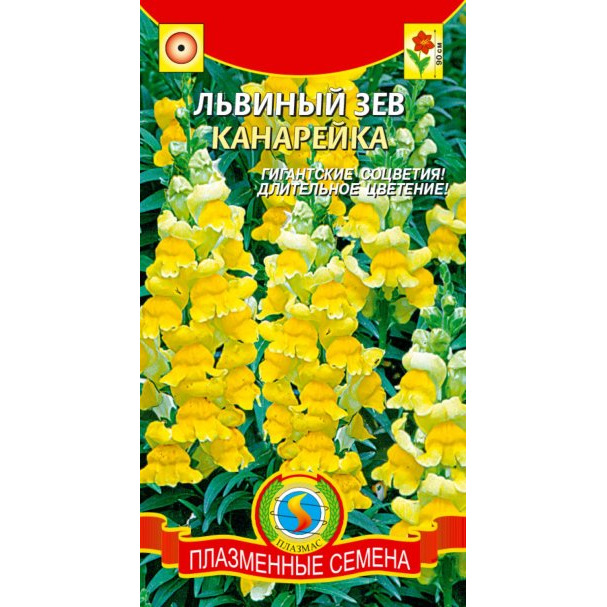 Семена Львиный зев Канарейка, 0,1гр, Плазменные семена