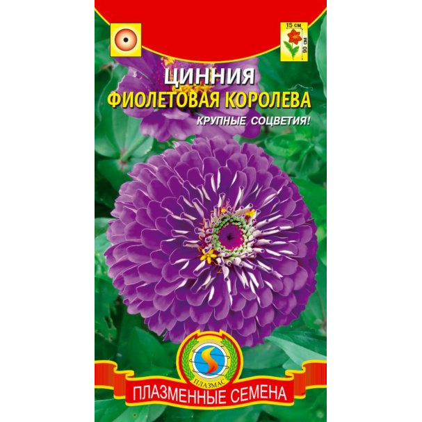 Семена Цинния Фиолетовая королева, 0,3 гр, Плазменные семена