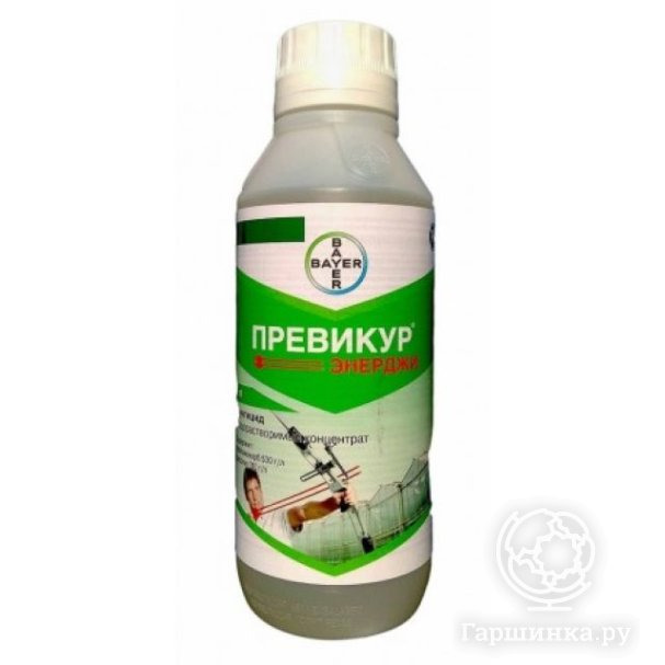 Превикур Энерджи купить в Москве по низкой цене - интернет-магазин Гаршинка