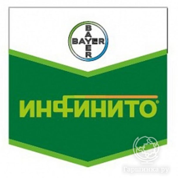 Инфинито купить в Москве по низкой цене - интернет-магазин Гаршинка