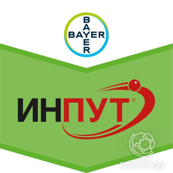 Инпут купить в Москве по низкой цене - интернет-магазин Гаршинка