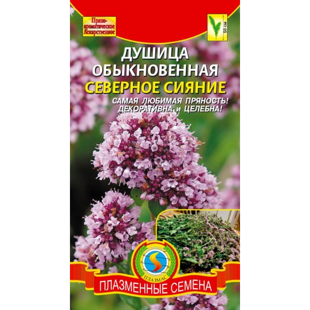Семена Душица Северное сияние, 0,1г, Плазменные семена купить в Москве ...