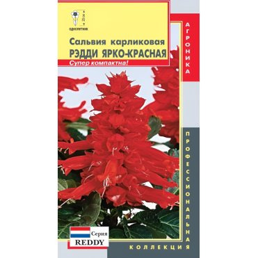 Семена Сальвия карликовая (серия Reddy) Рэдди Ярко-красная 10 шт, Плазменные семена