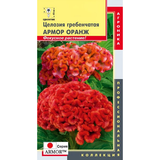 Семена Целозия гребенчатая (серия Armor) Оранж 10 шт, Плазменные семена